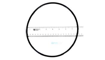 Generic Backplate O-Ring | APC02300