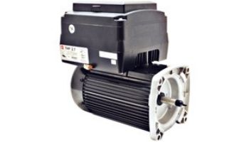 Replacement Square Flange Variable Speed Pool & Spa TEFC Motor | 1HP Energy Efficient | 48 Frame Full-Rated | 115/230V | NPTQ125