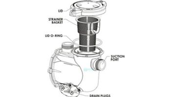 Pentair IntelliFlo3 1.5HP Strainer Pot Kit | Black | 356346Z