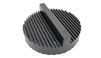 Pentair Inline Chlorinator Check Valve Screen | 210396Z