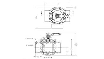 AquaStar FlowStar 3-Way Valve with Rubber Handle | 2" x 2.5" | AV3W20C