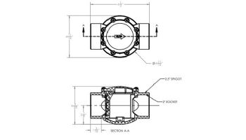 AquaStar FlowStar CPVC Check Valve | 2" x 2.5" | AVC20C
