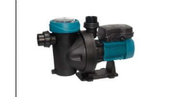 ESPA Pool Pump | 1.0 HP | 115V | 5-SILEN I 1