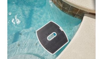 Maytronics Dolphin Skimmi Automated Solar-Powered Robotic Pool Skimmer | 9997001