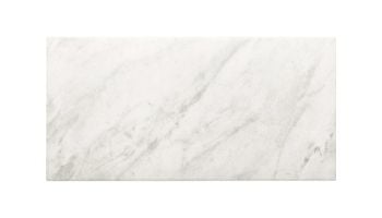 National Pool Tile FMU 12x24 Tile | Classica Alaska Glacier | 1101490