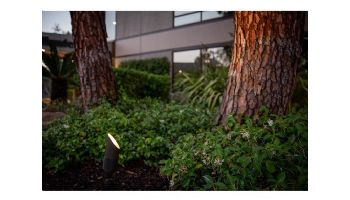 FX Luminaire EXA Collection Grande Accent Light | Black | XA-70-FB