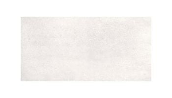 National Pool Tile Elements 12x24 Series | Gray | ELE-ZINC1224