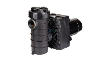 Speck Pumps 433 High Performance Single Speed Pool Pump with Unions | 2.0HP 3 Phase 208-230/460V | IG113-1200F-000