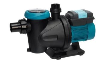 Doughboy (HII) ESPA-SilenPlus Variable Speed Pump and 23" Sand Filter System | 5-SILENPLUS 115 | 5-3786-004