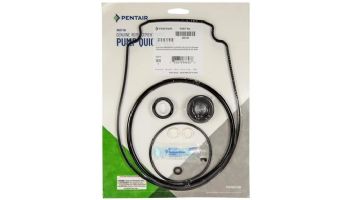Pentair Seal Quick Kit for WhisperFlo / IntelliFlo Pumps | 356198