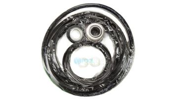 Pentair Chemical Salt Ozone Resistant Seal Set | 356199