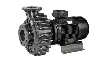 Speck Pumps Normblock Multi Series Pump | TEFC Motor | 15HP 208-230/460 V | NB715-1015F-000
