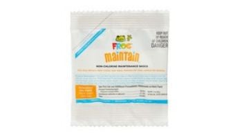 King Technology FROG Maintain Non-Chlorine Spa Shock | 1 Oz. Pouch | 01-14-6132