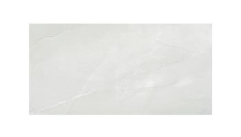 National Pool Tile Pulpis Polished 12x24 Tile | Gray | PUL-GRAY1224