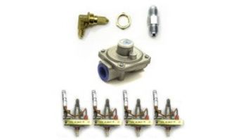 Lion Premium Grills Lion Conversion Kit to NG | 31263