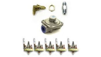 Lion Premium Grills Lion Conversion Kit to NG for L90000 | 42653