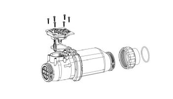 Pentair LT15 Cell Assembly | 523767