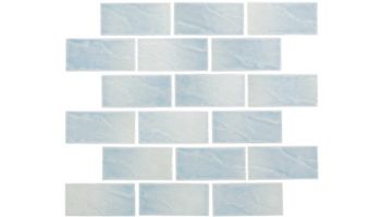 National Pool Tile Disko Bay 2x4 Series | Iceberg White | DSB-WHITE2X4