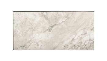 National Pool Tile Newstone 12x24 Series | White Gray | NEW-WTGRAY1224