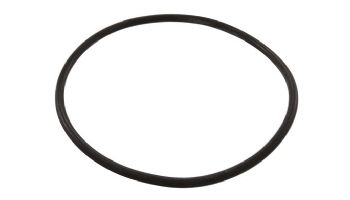 Speck Pumps Casing O-Ring for Pump Model 95 | 2902041220