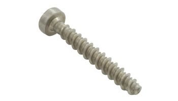 Speck Pumps 95 Series Casing Screw | Allen Head 7M x 48mm | 2921690002