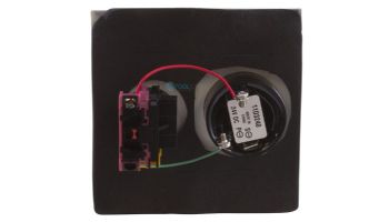 Pentair Emergency Shut-Off Switch with Alarm | ES02