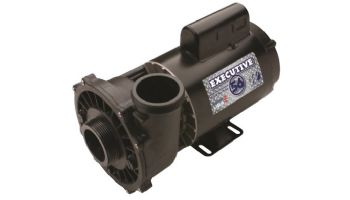 Waterway Viper Spa Pump | 2-Speed 4HP 230V 56-Frame | 8' Cord Length | MV-40226-25