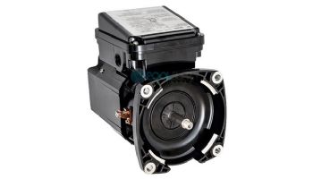 Pentair 1.1 THP Black Replacement Motor | 356362S