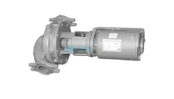 Raypak Pump And Motor Assembly | Fixed-Speed Pump | Stainless Steel | 120/240V 3/4 HP | 018785F