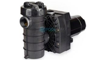 Speck Model 433 Commercial High Performance High Head VS Pool Pump | 56 Frame 2" Port Size 2.7 THP 230V | IG115-V270T-0US