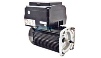 Replacement Variable Speed Threaded Motor | 3.45THP 230V 50/60Hz TEFC 56J Square Flange | NPTT345