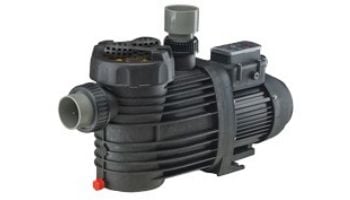 Speck Pumps S90-I Single Speed Pool Pump | 0.75HP | IG121-1075M-000