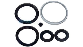 Pentair Hx and Chimney Gaskets for ETi 400 Heater | 475615Z