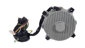 Hayward Fan Motor for HP31005T Heat Pump | HPX20000330381