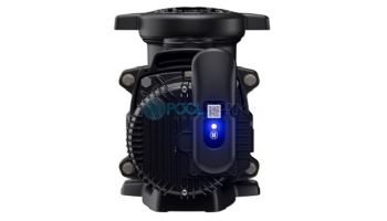 Hayward MaxFlo VS 415 Variable Speed Pump with OmniX | 1.65HP 230-115V | W3VSP23415
