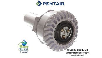 Pentair GloBrite Shallow Water Color LED Light | 12V 150' Cord | EC-907418