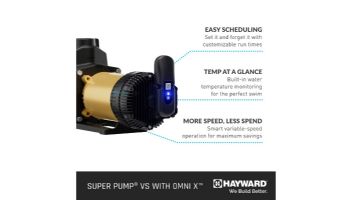 Hayward SuperPump VS 620 Variable Speed Pump with OmniX | 2.25HP 230-115V | W3VSP26620