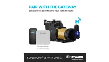 Hayward SuperPump VS 620 Variable Speed Pump with OmniX | 2.25HP 230-115V | W3VSP26620