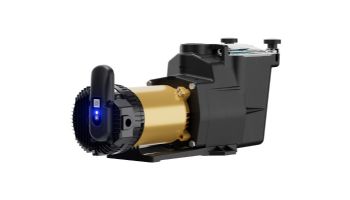 Hayward SuperPump VS 620 Variable Speed Pump with OmniX | 2.25HP 230-115V | W3VSP26620
