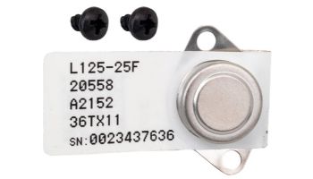 Raypak High Limit 2-HL2-Surface Mount Kit | 019044F