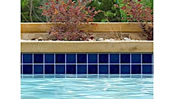 National Pool Tile Discovery Field 3x3 Series | Royal Blue | DSF20N