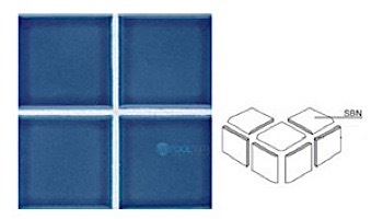 National Pool Tile Discovery Field | Caribbean Blue | DSF95 SBN