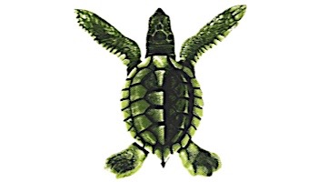 Turtle Green Baby 5"x5" Porcelain ST20A