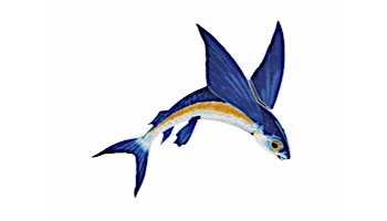 Porcelain Mosaic Flying Fish-A | 7" x 6" | PORC-FF13