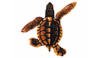 Porcelain Mosaic Turtle Brown | Baby B 5"x5" | PORC-ST21B-BR
