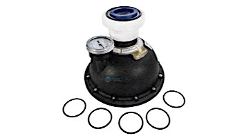 Zodiac Caretaker Water Valve 5-Port Complete | 5-9-2000
