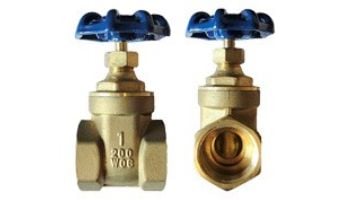American Granby Gate Valve Brass | 2" | GV200-200T