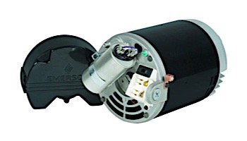 Replacement Threaded Shaft Pool Motor .5HP | 115/230V 56 Round Frame Full-Rated B126 | EB126