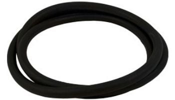 Pentair Clean and Clear Plus and FNS Tank O-Ring | 39010200 39010200Z
