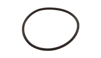 Pentair American Products Backwash Valve Replacement Parts | Bulkhead O-Ring | 51013500
